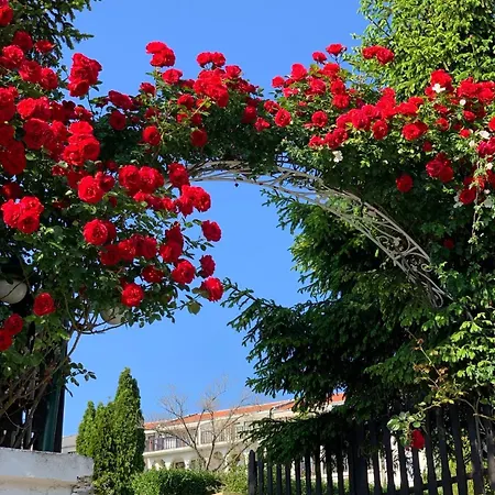 Kambani 1 Апартаменты *