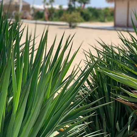 Kambani 1 * Свети-Влас