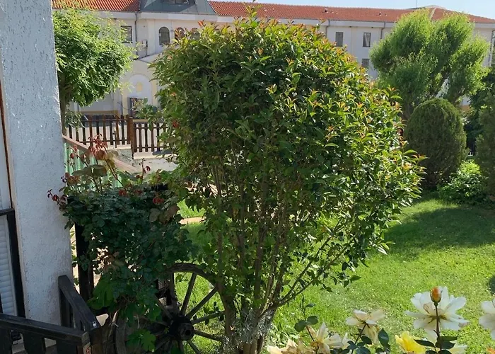 Kambani 1 Szveti Vlasz