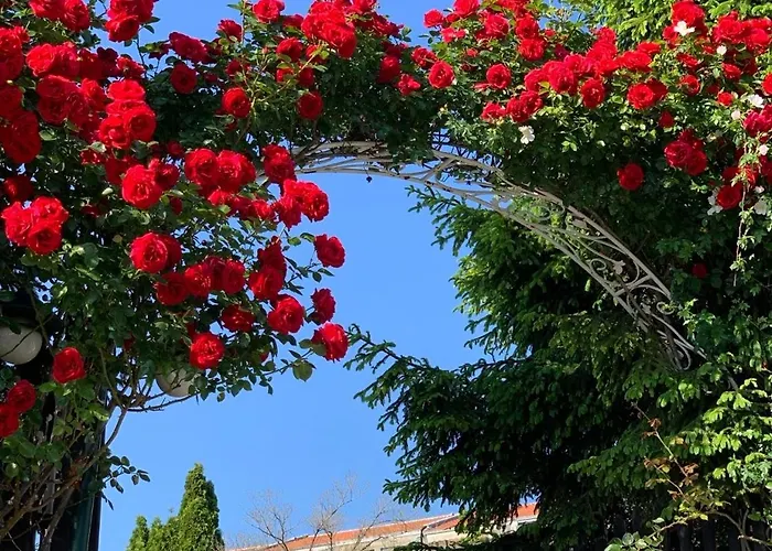 Kambani 1 Apartman *