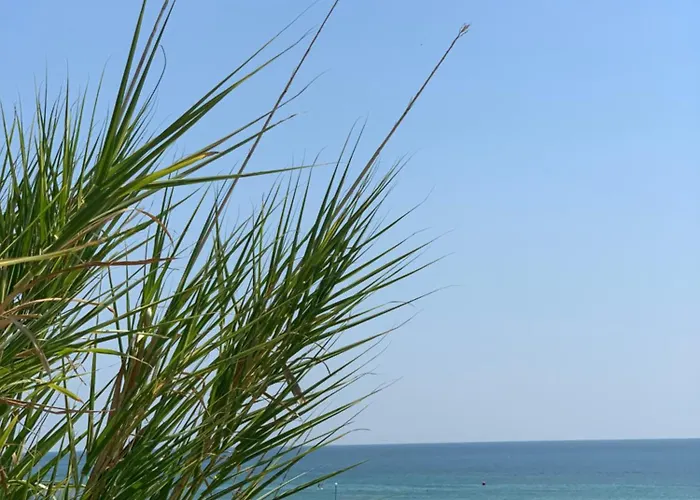 Apartmán Kambani 1 Sveti Vlas